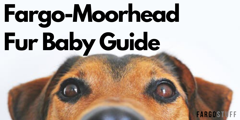 Fargo Moorhead Fur Baby Guide Fargo Stuff